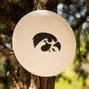 Iowa Hawkeyes D3 Basegrip Driver-2